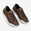 Sapatênis Ferracini Masculino Star Chocolate